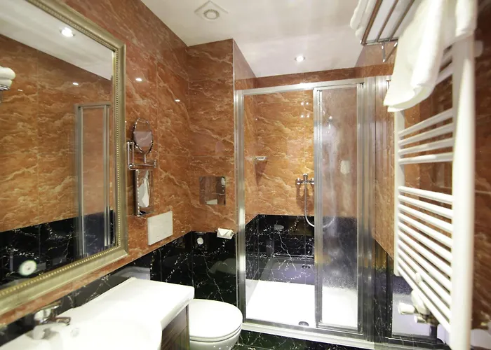 Western Arcadia 4* Vienne